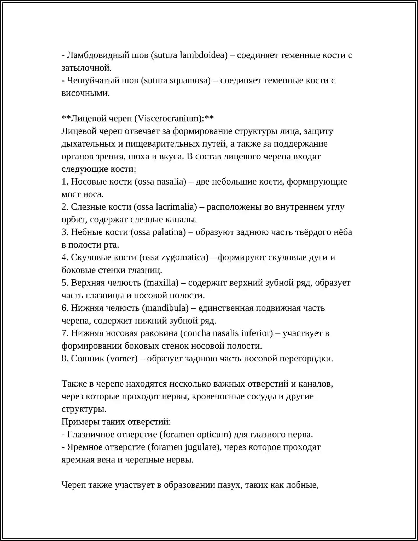 ЧЕРЕП (КАЛЛA СУЯГИ) 4