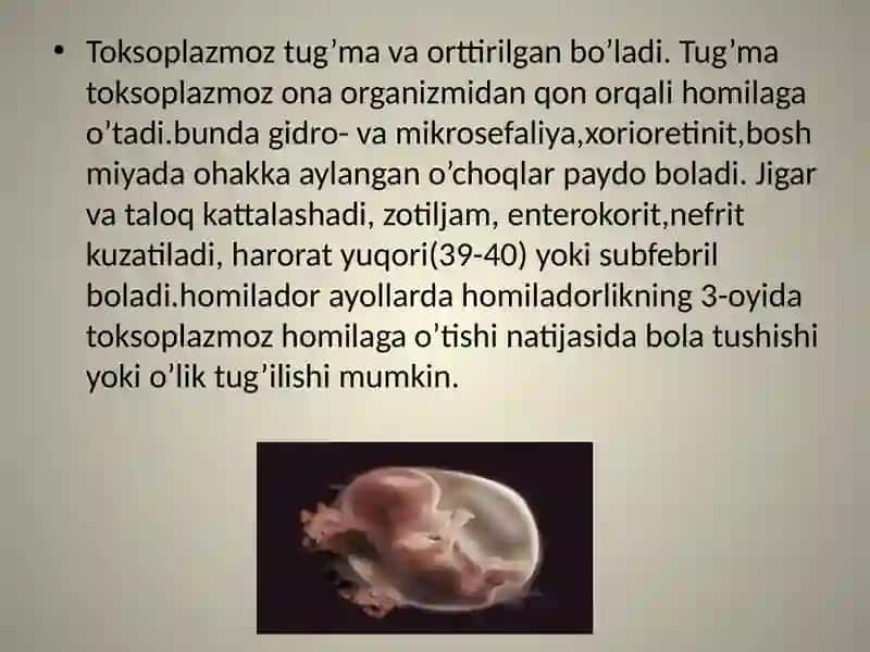 TORCH infeksiyasining epidemiologiyasi 4