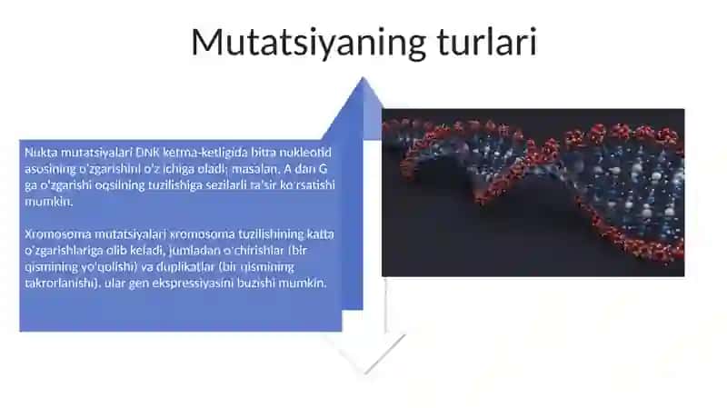 Mutatsion jarayon 4