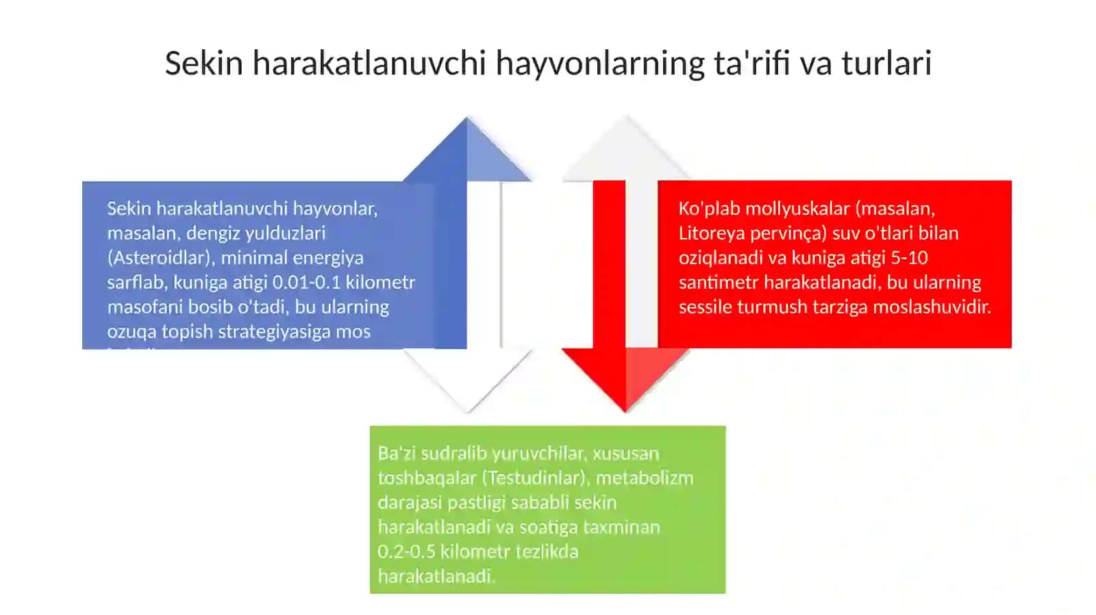 Sudiralibyuruvchihayvonlarekologikxususiyatlarinioʻrganish 4