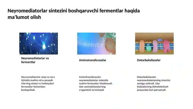 Neyromediatorlar biosintezi 4