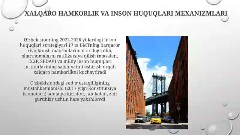Konstitutsiyaviy Kafolatlar va Islohotlar 4