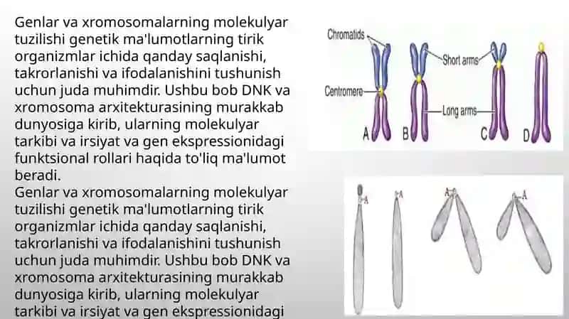 birikkan holda irsiylanish 4