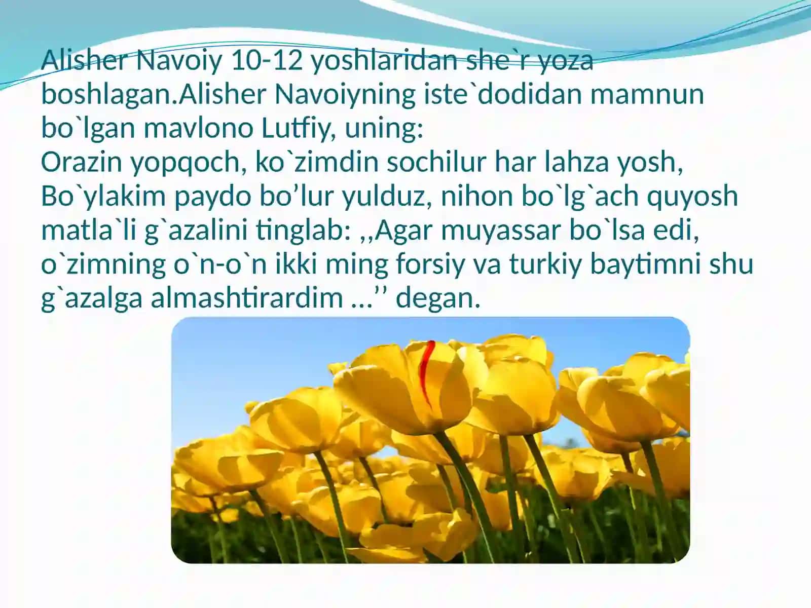 Alisher  Navoiy-g’azal  mulkining  sultoni 4