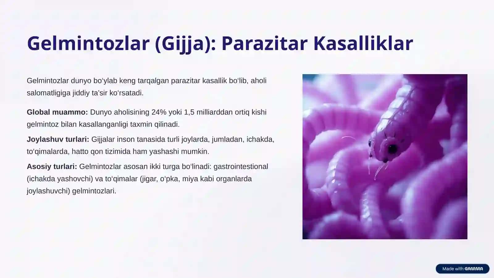 Terining Turli Kasalliklari va Gelmintozlar 4