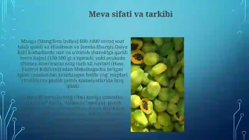 Subtropik mevali oʻsimliklarni agrobiologik xususiyatlari 4
