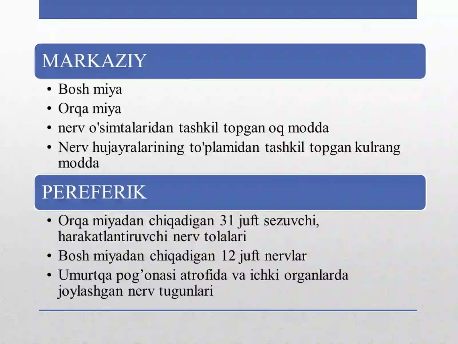 Neyronlar 4