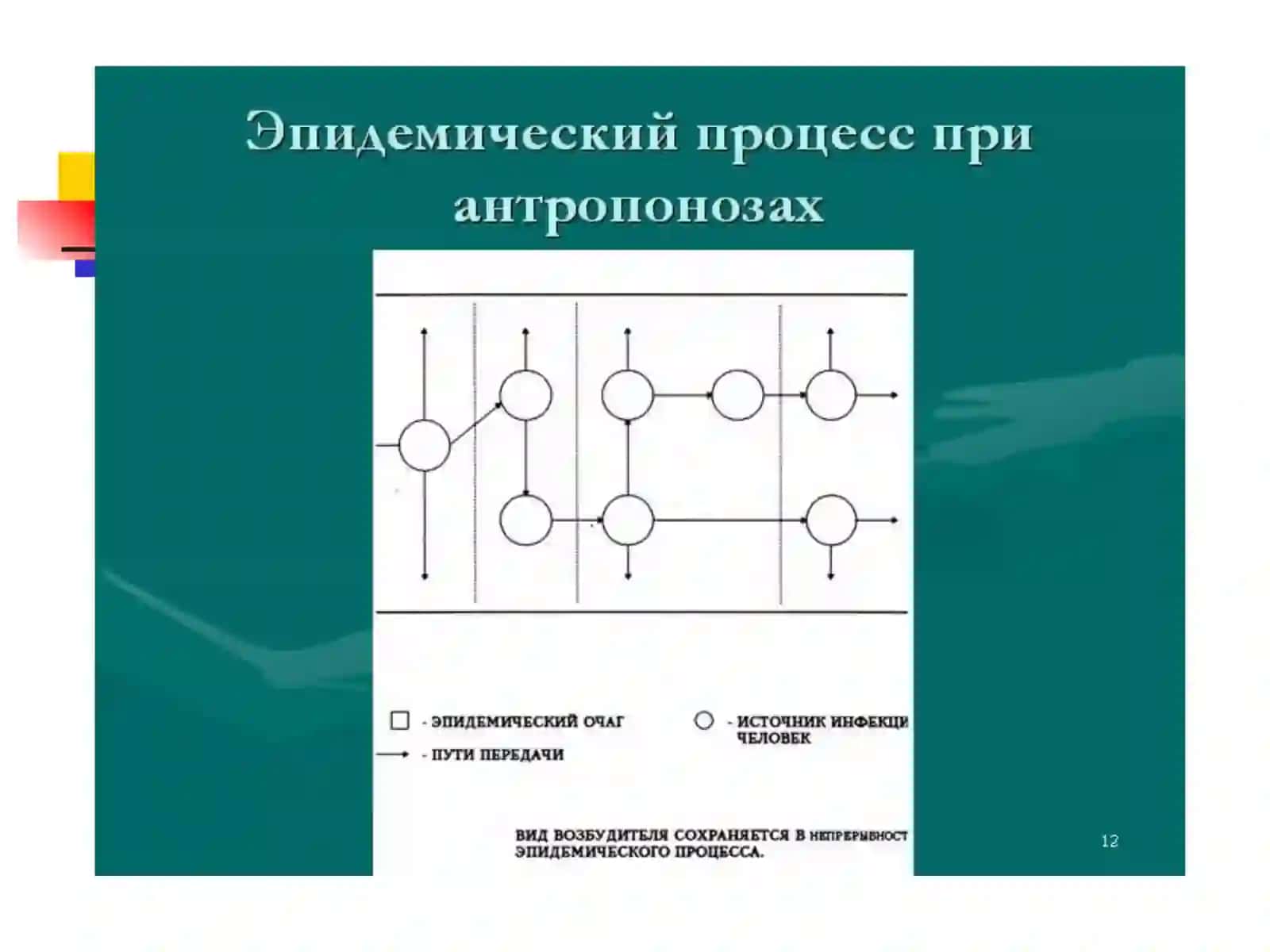 Эпидемик жараён 4
