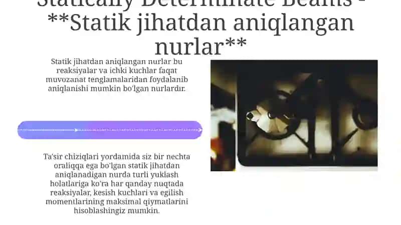 Ko'p Qanotli Nurli Tirgaklar 4