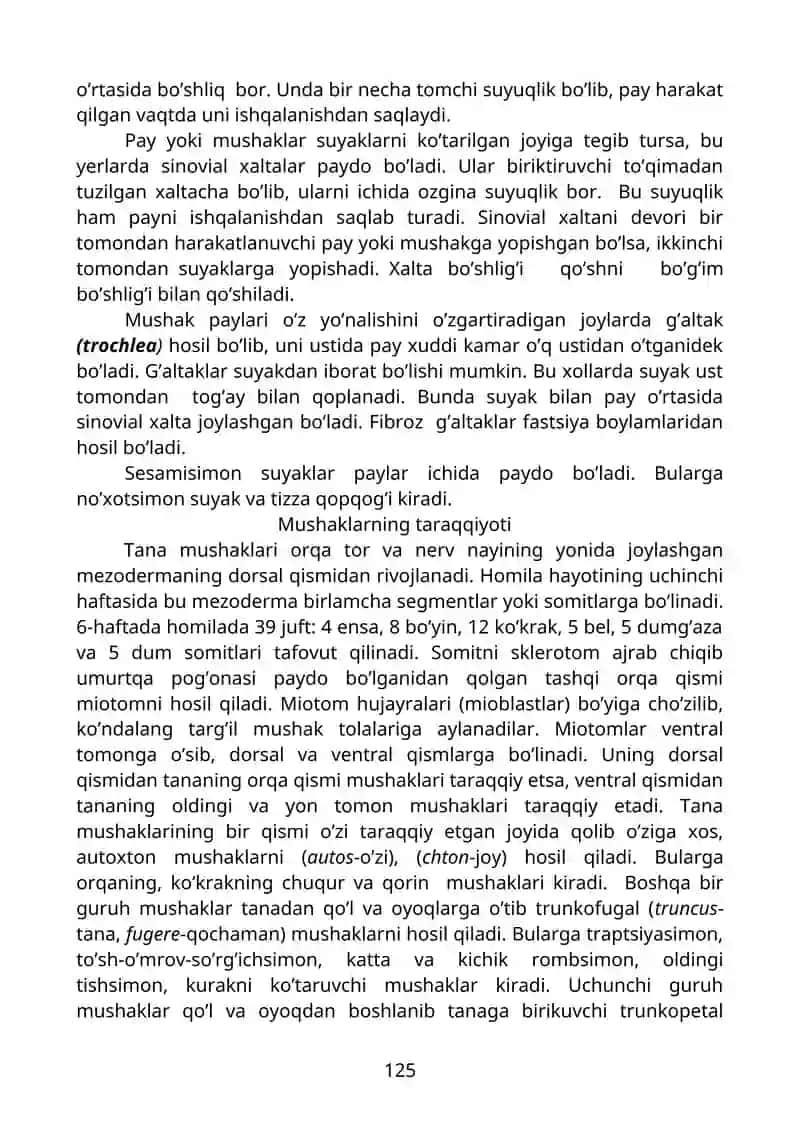 Mushaklarning tuzilishi 4