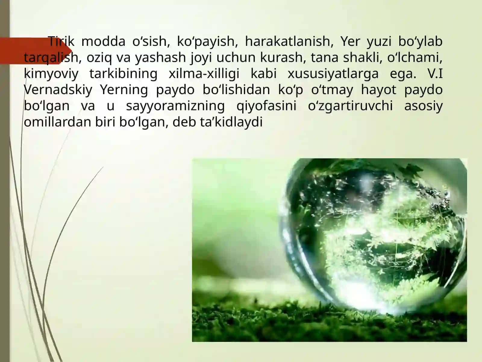 Biosferaning tarkibi 4