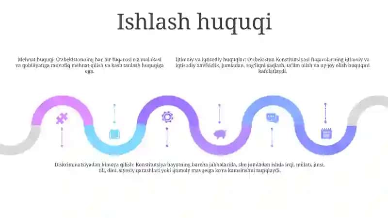 Oʻzbekiston Respublikasi Fuqarolarining Iqtisodiy Ijtimoiy Huquqlari 4