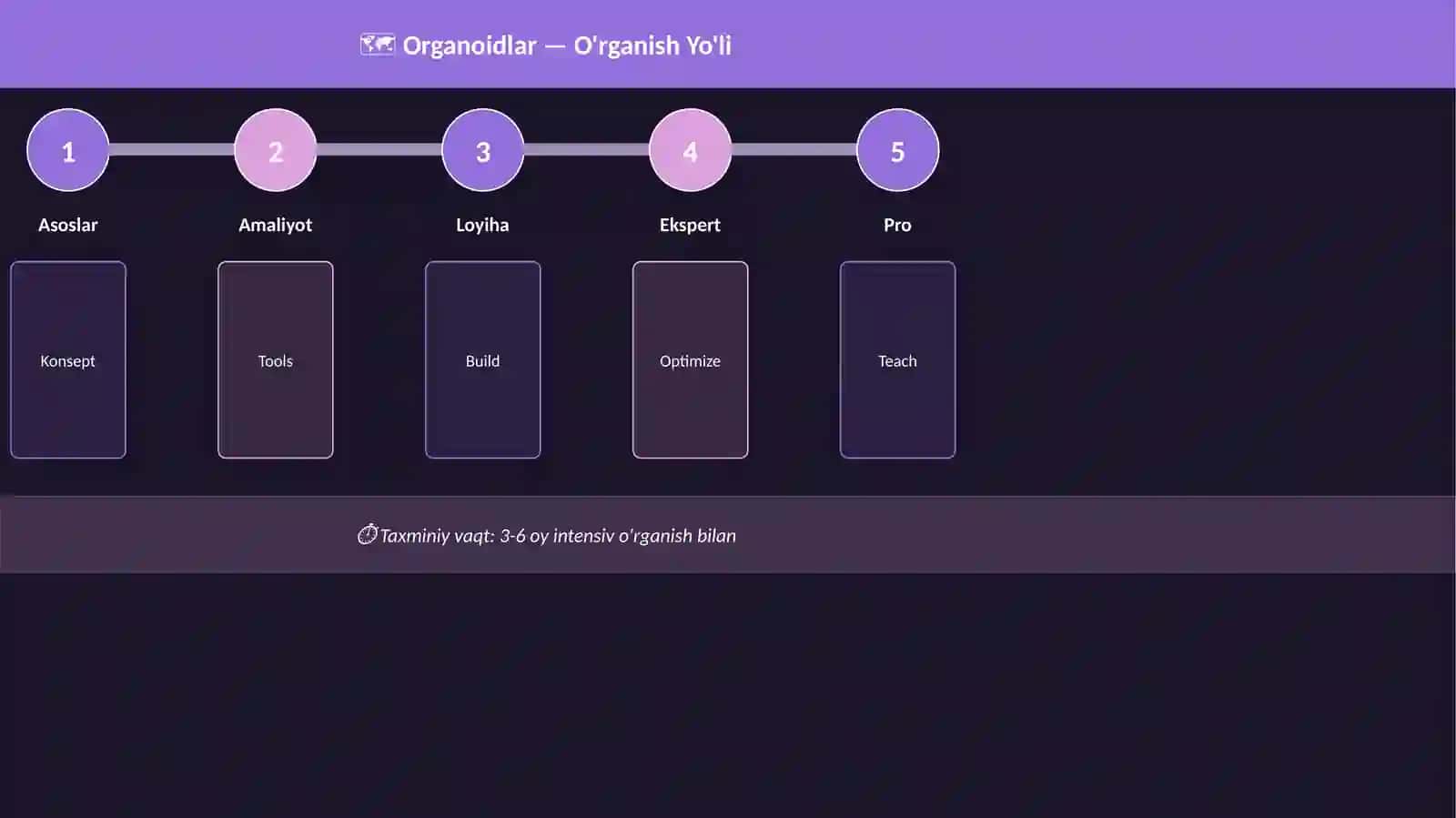 Organoidlar 4