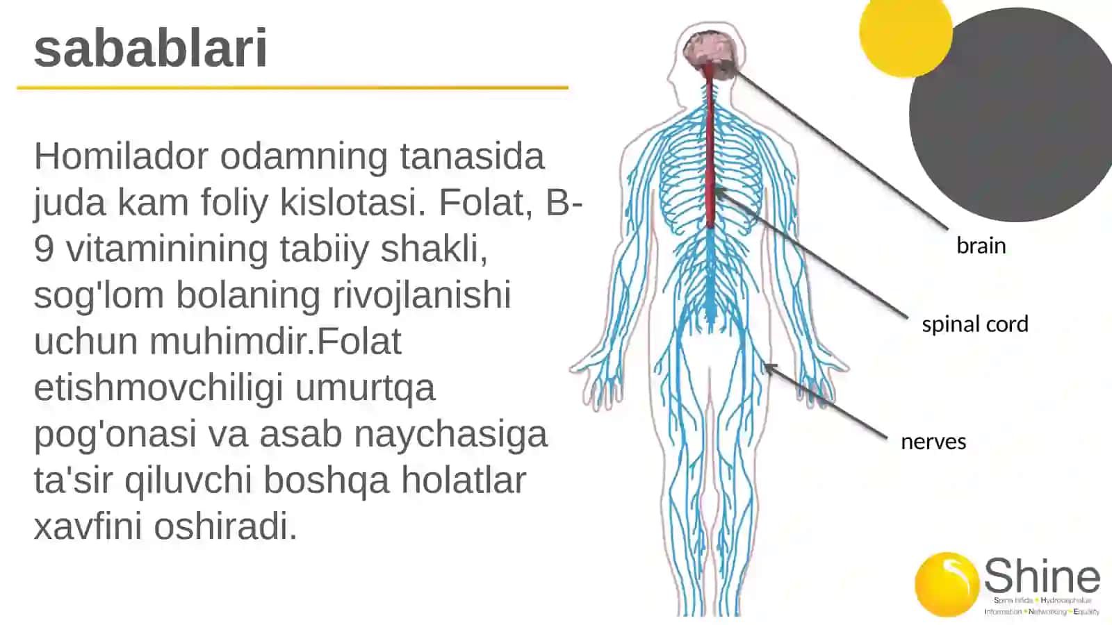 Spinabifida 4