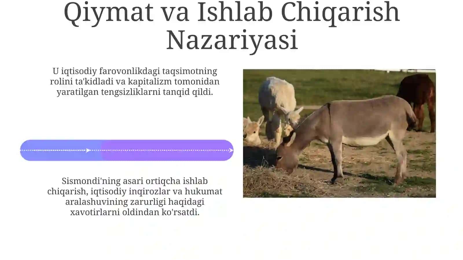 Sismondining iqtisodiy mavzudagi asarlari va ularning mazmuni 4