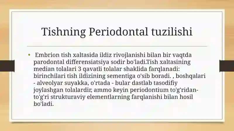 Periodontning gistologik tuzilishi 4