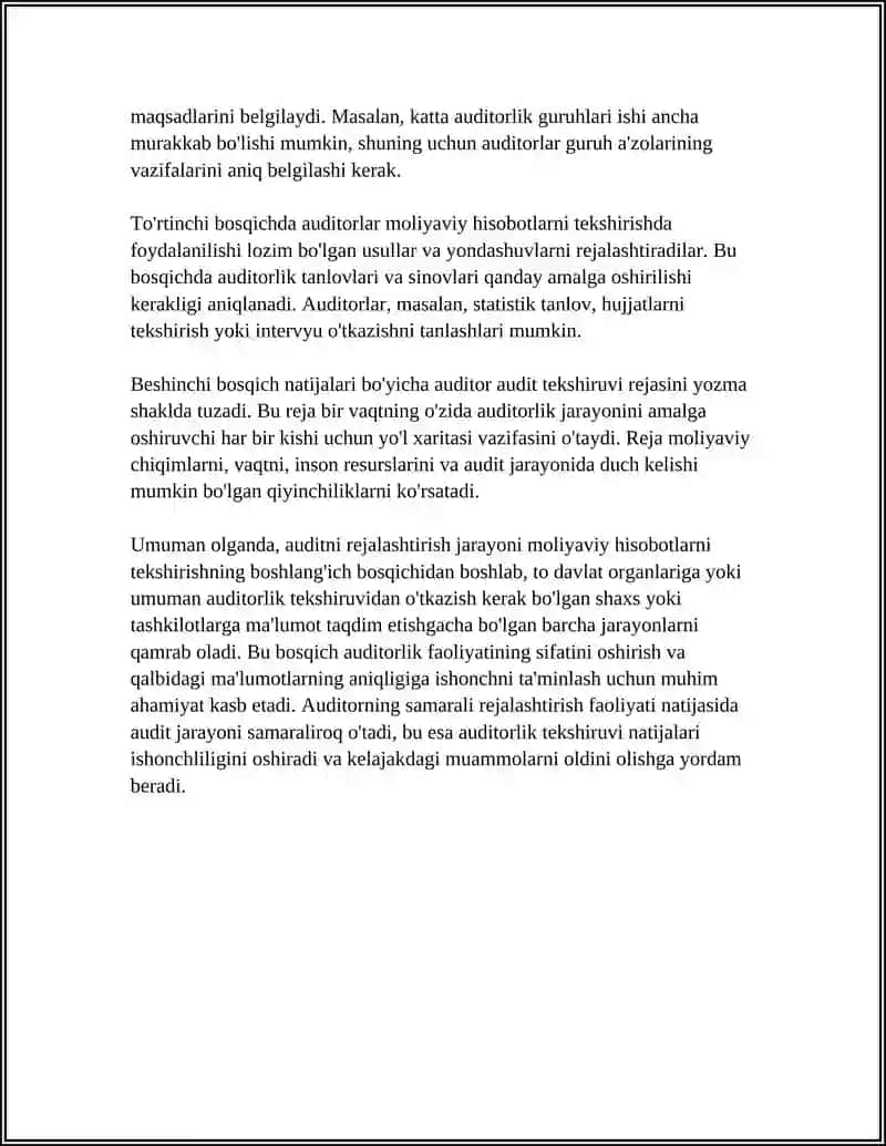 Auditni Rejalashtirishning Asosiy Tamoyillari 4