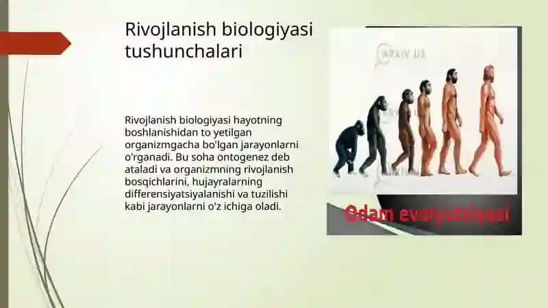 Biologik rivojlanish 4