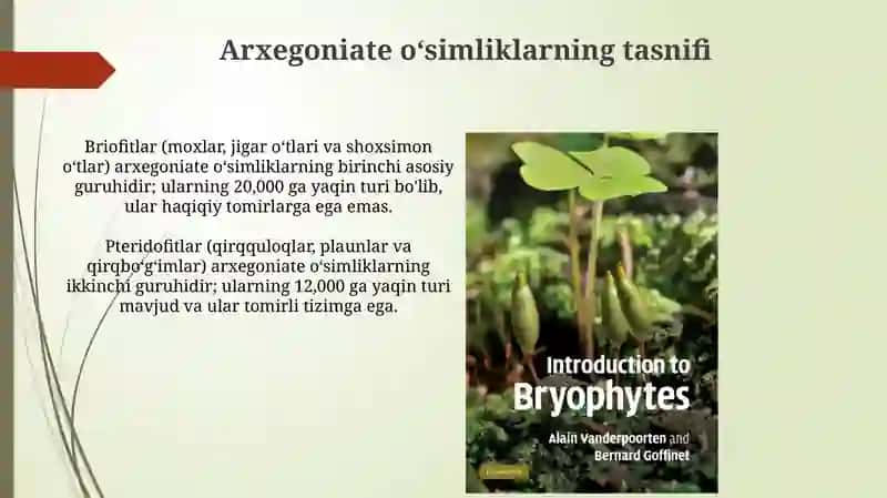 Arxegoniyal O'simliklar va Ularning Ahamiyati 4