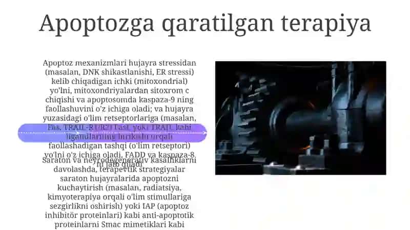 Apoptozmexanizmlari 4