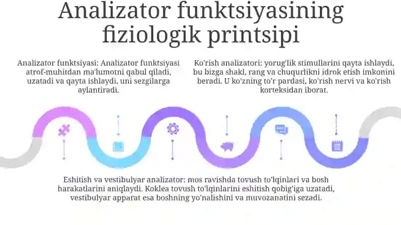Analizatorlar Fiziologiyasi. KoʻRish Analizatori. Eshitish Analizatori Va Vestibulyar ApparatFiziologiyasi 4