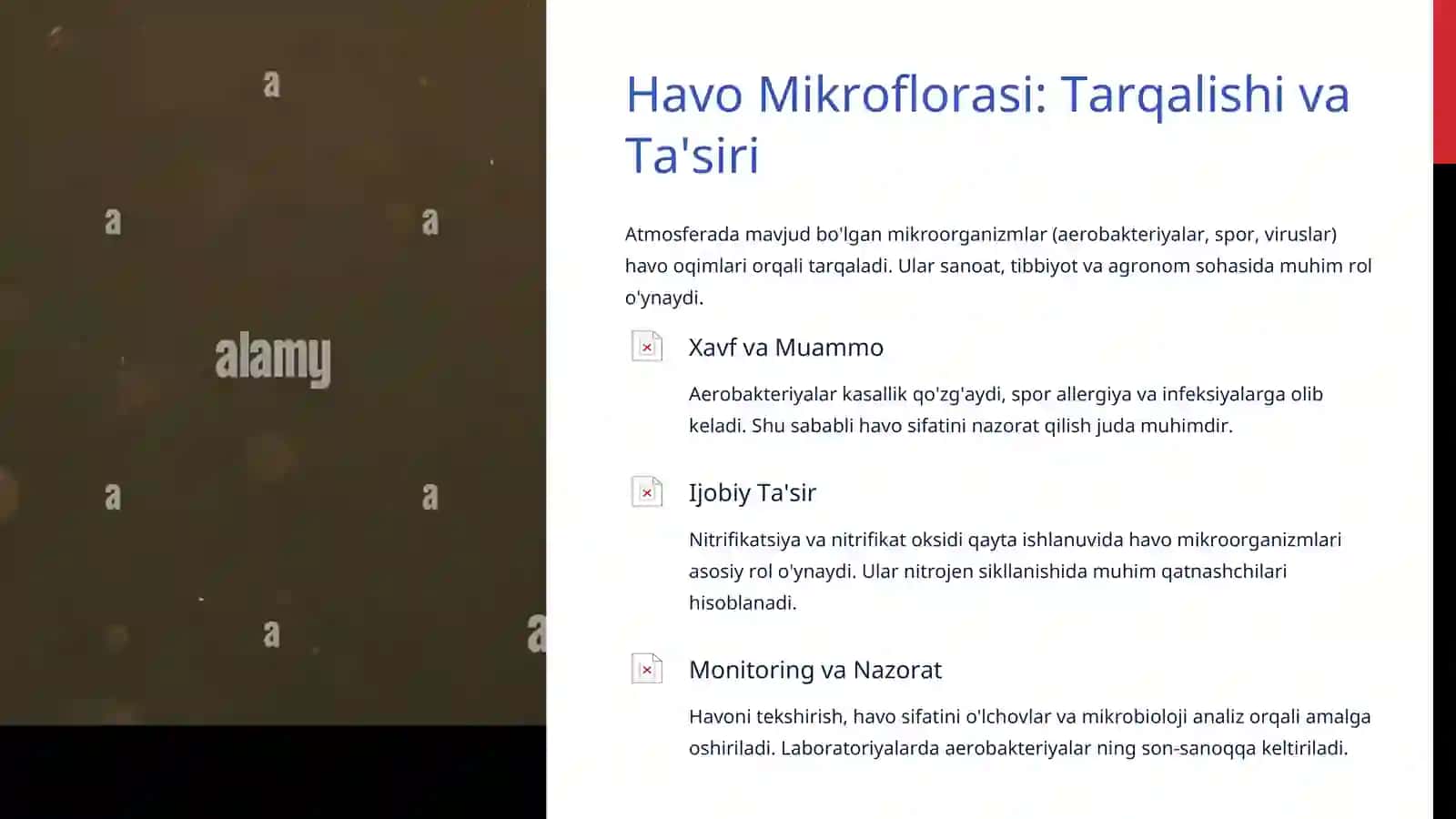 Mikroorganizmlar Ekologiyasiga Kirish 4