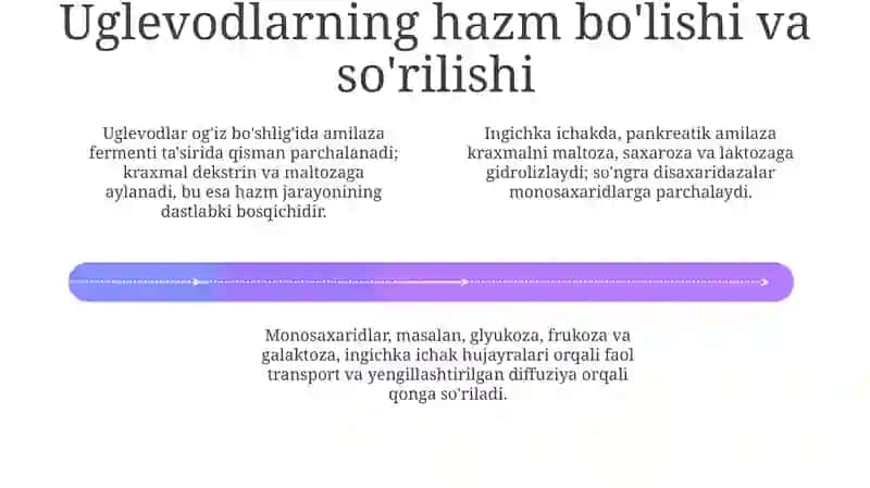 Uglevodlar almashinuvi va funksiyalari 4