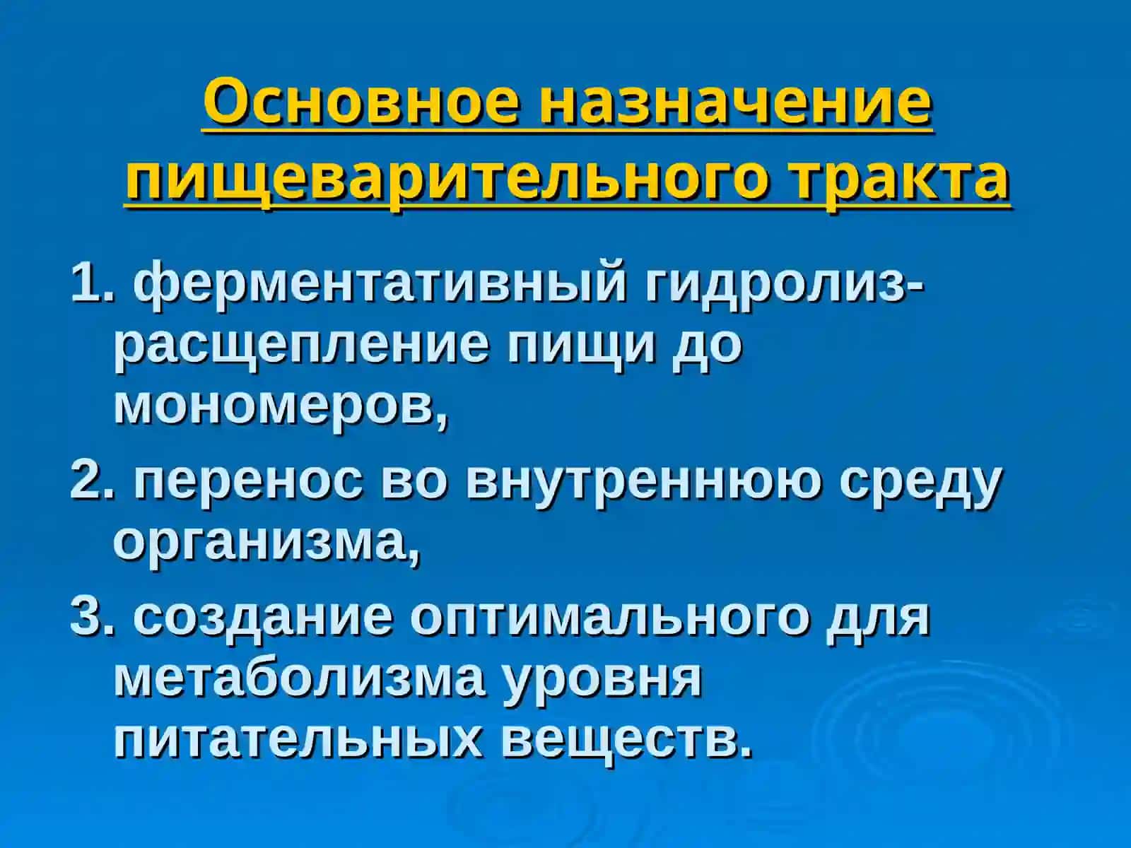 Физиология пищеварения 4