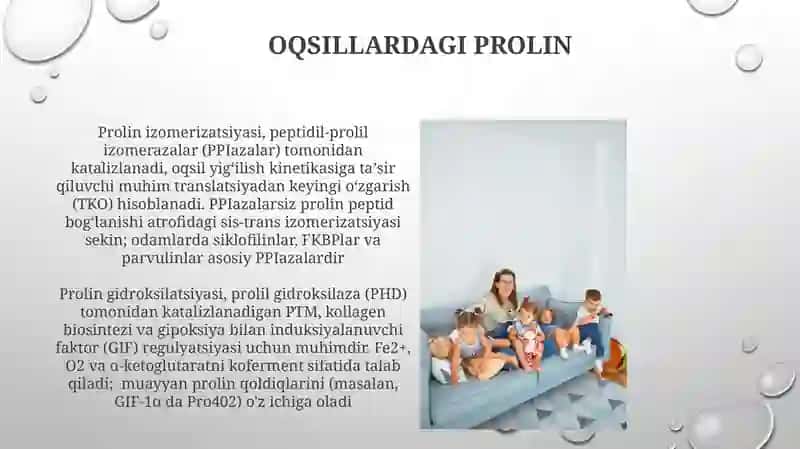 Prolin 4