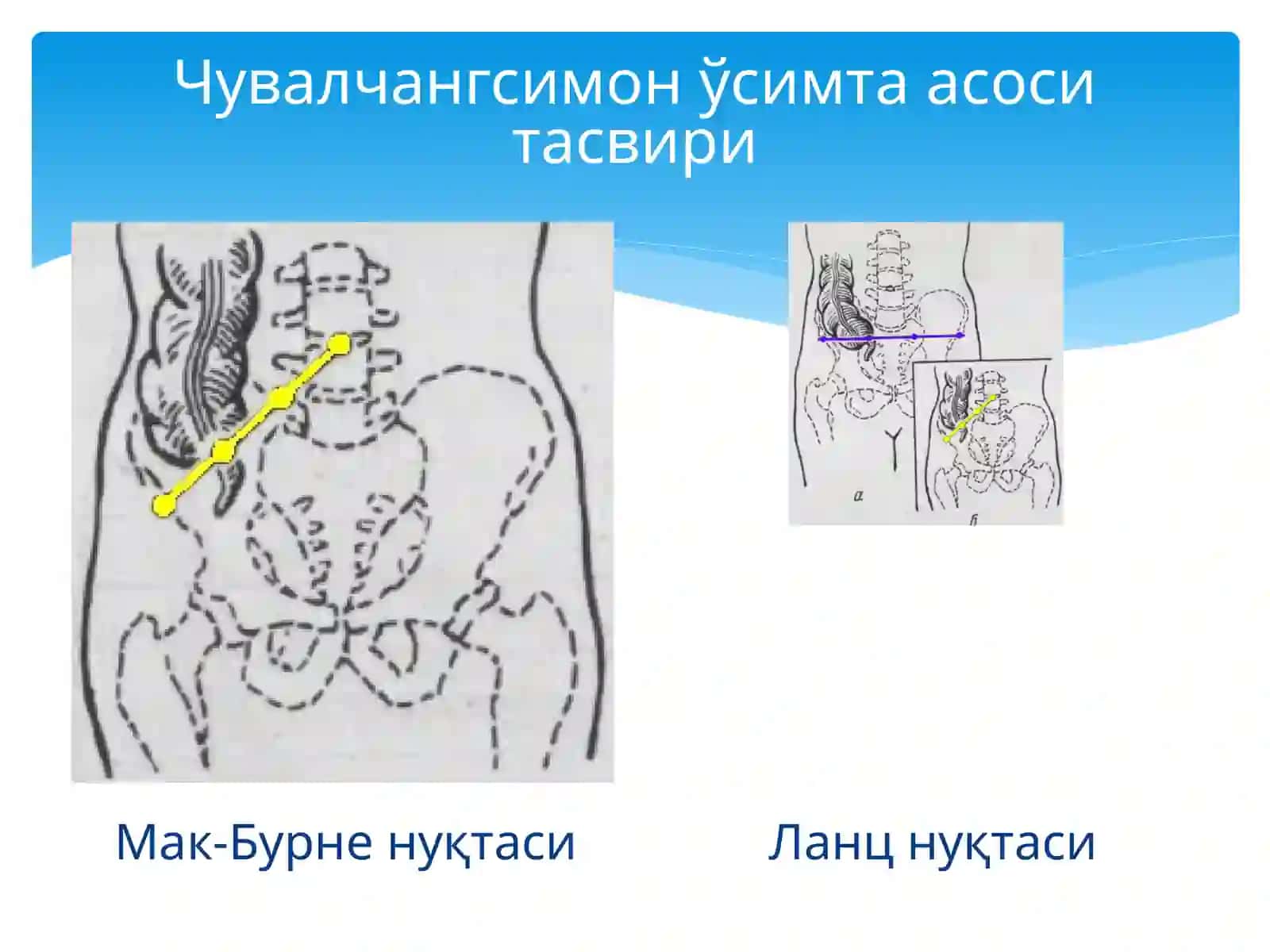 Қорин деворлари клиник анатомияси 4