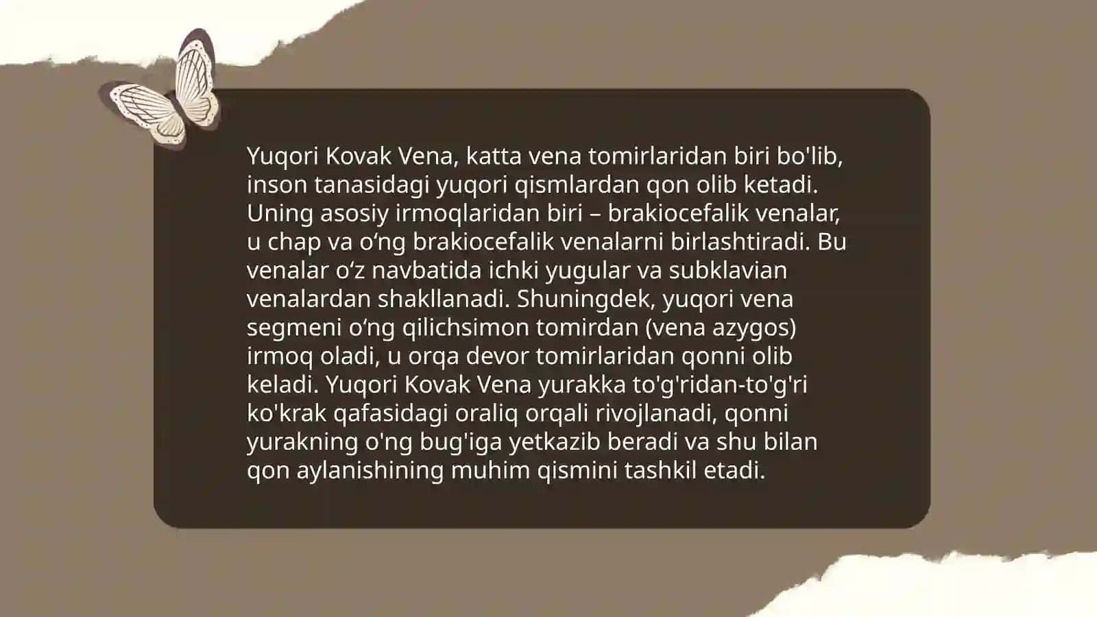 Yuqori kovak vena 4