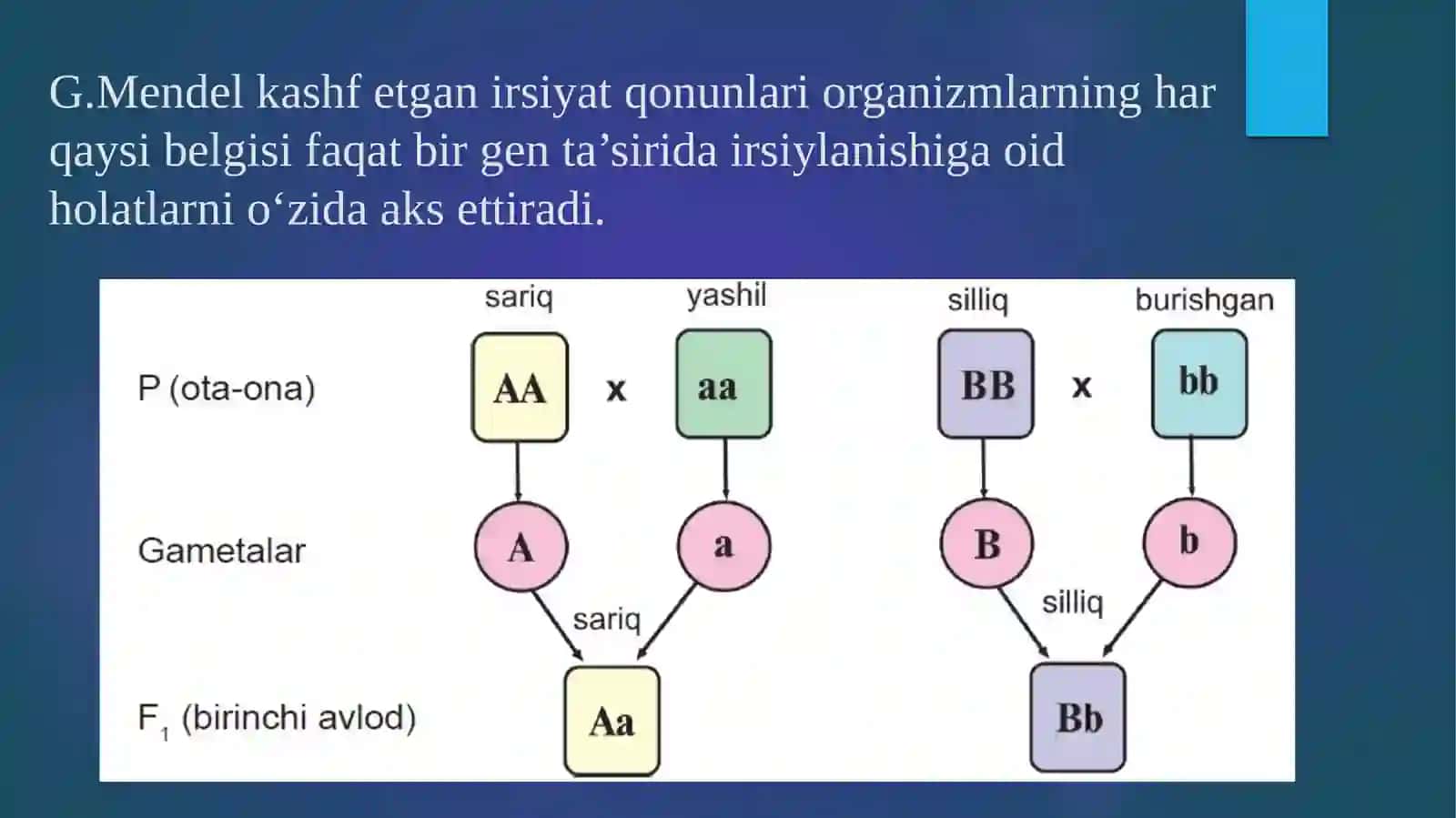 Noallelgenlarningo`zarota’siri 4
