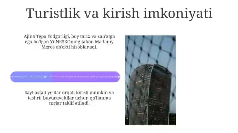 Ajina Tepa Muzeyi 4