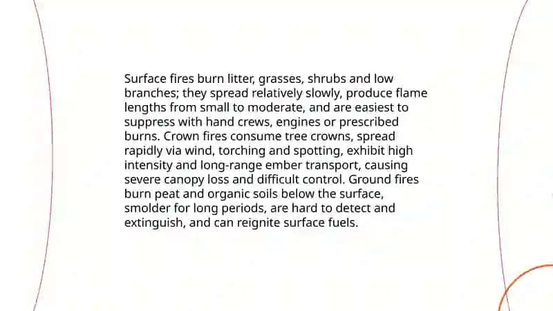 Forest fire 4