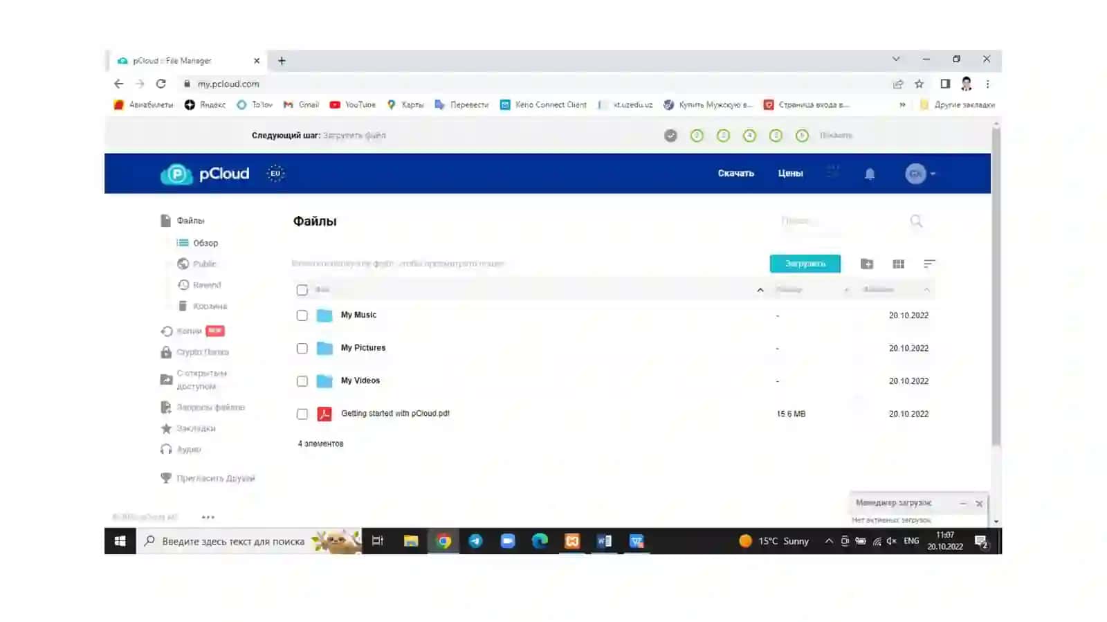 Pcloud (https://www.pcloud.com/ru/eu) 4