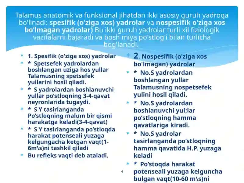 Miyacha va oraliq miya fiziologiyasi 4