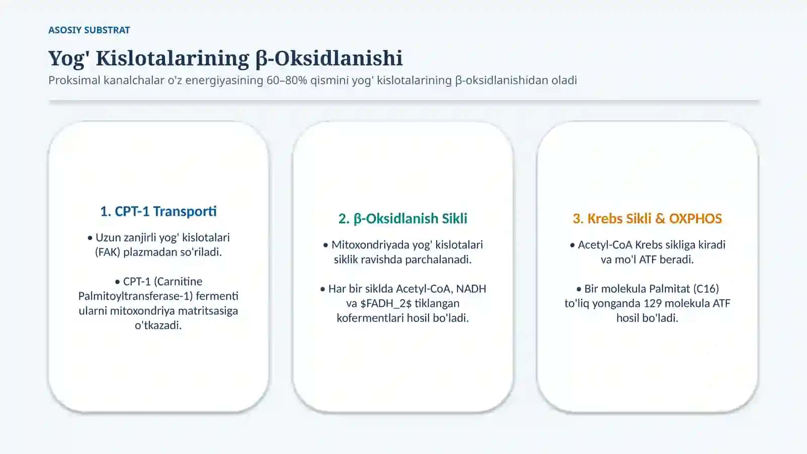 Buyrakning energiya bilan ta’minlanishi — 15 slayd 4