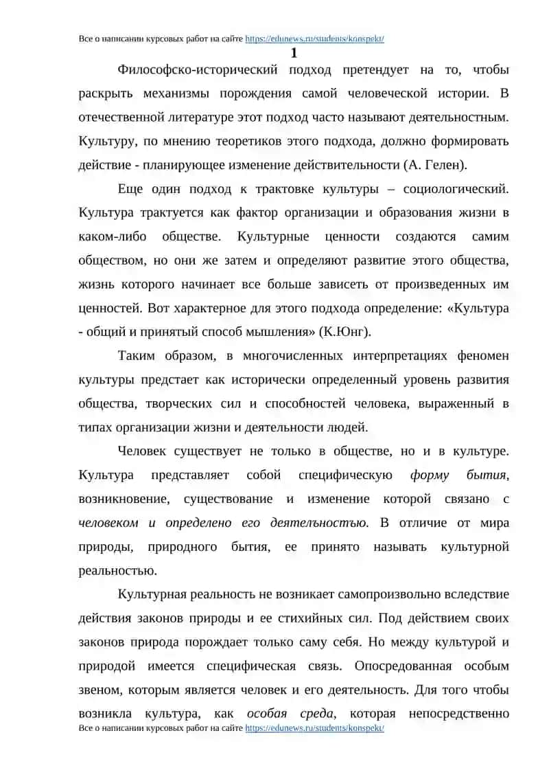 Анализ феномена культуры в философских воззрениях 4