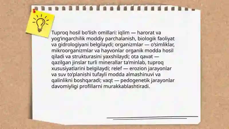 Tuproq genezisi, klassifikatsiyasi va geografiyasi 4