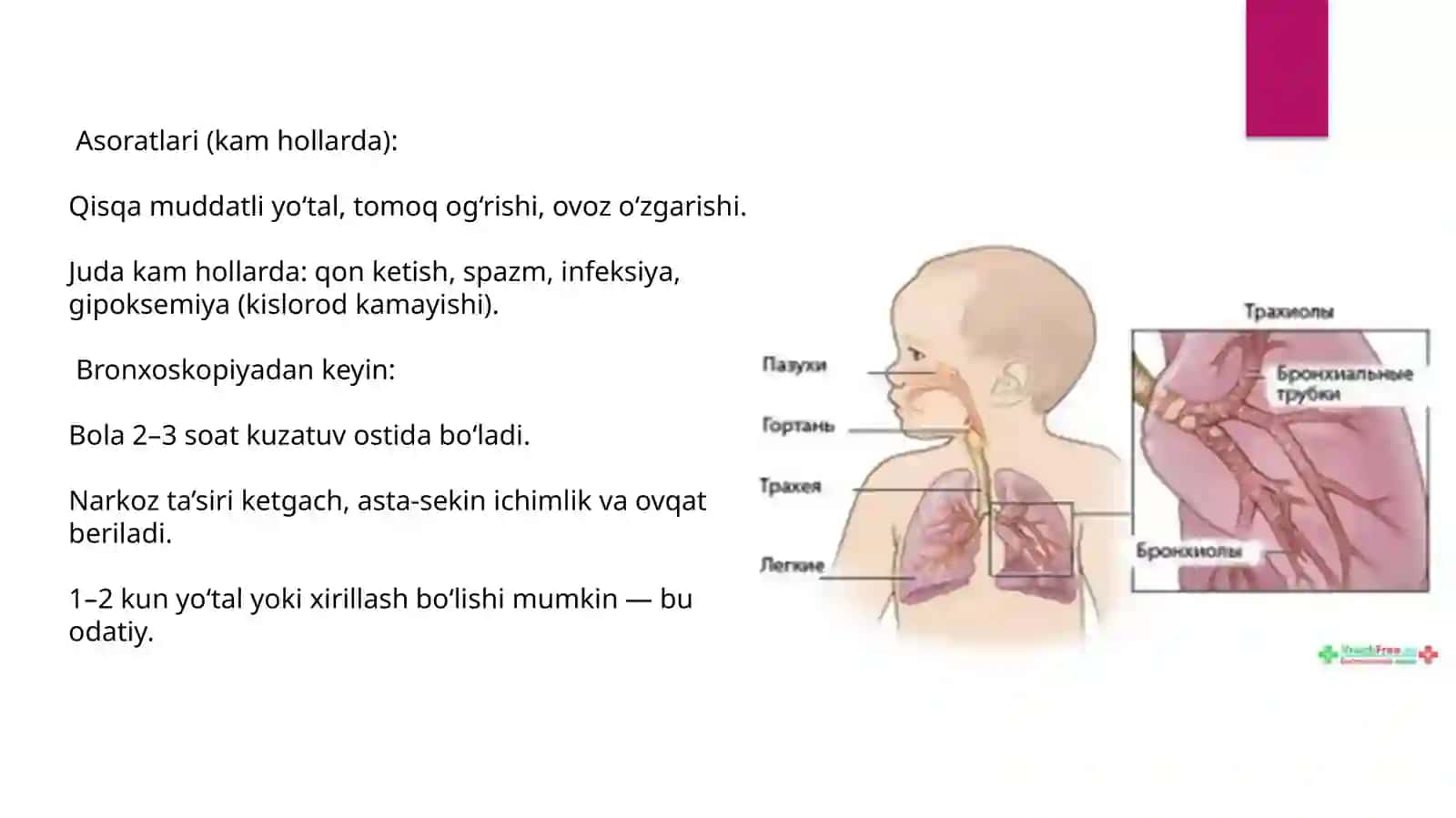 Bolalardan afasa’zolarikasalliklaridagi funksional-instrumental tekshiruvlar; rentgenogrammalar interpretatsiyasi 4