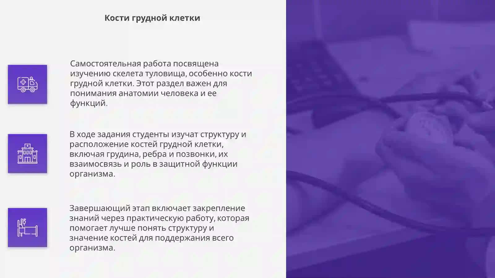 Скелет туловища 4
