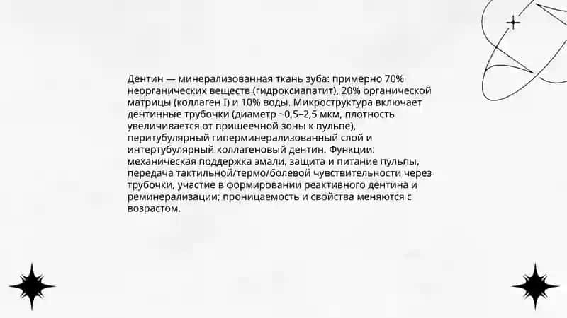 Строение зуба 4