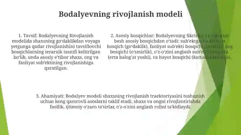 A.A.Bodalevning shaxs, shaxs va sub'ektning rivojlanish bosqichlari tasnifi 4
