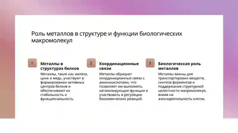 слайд,презинтация,slayd 4