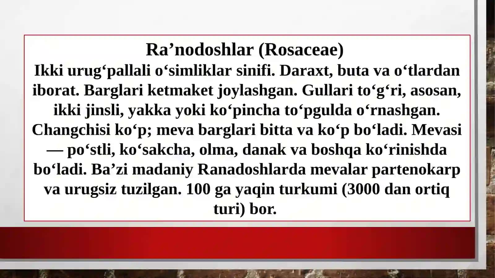 Ra'nodoshlar Oilasi - Rosaceae 4