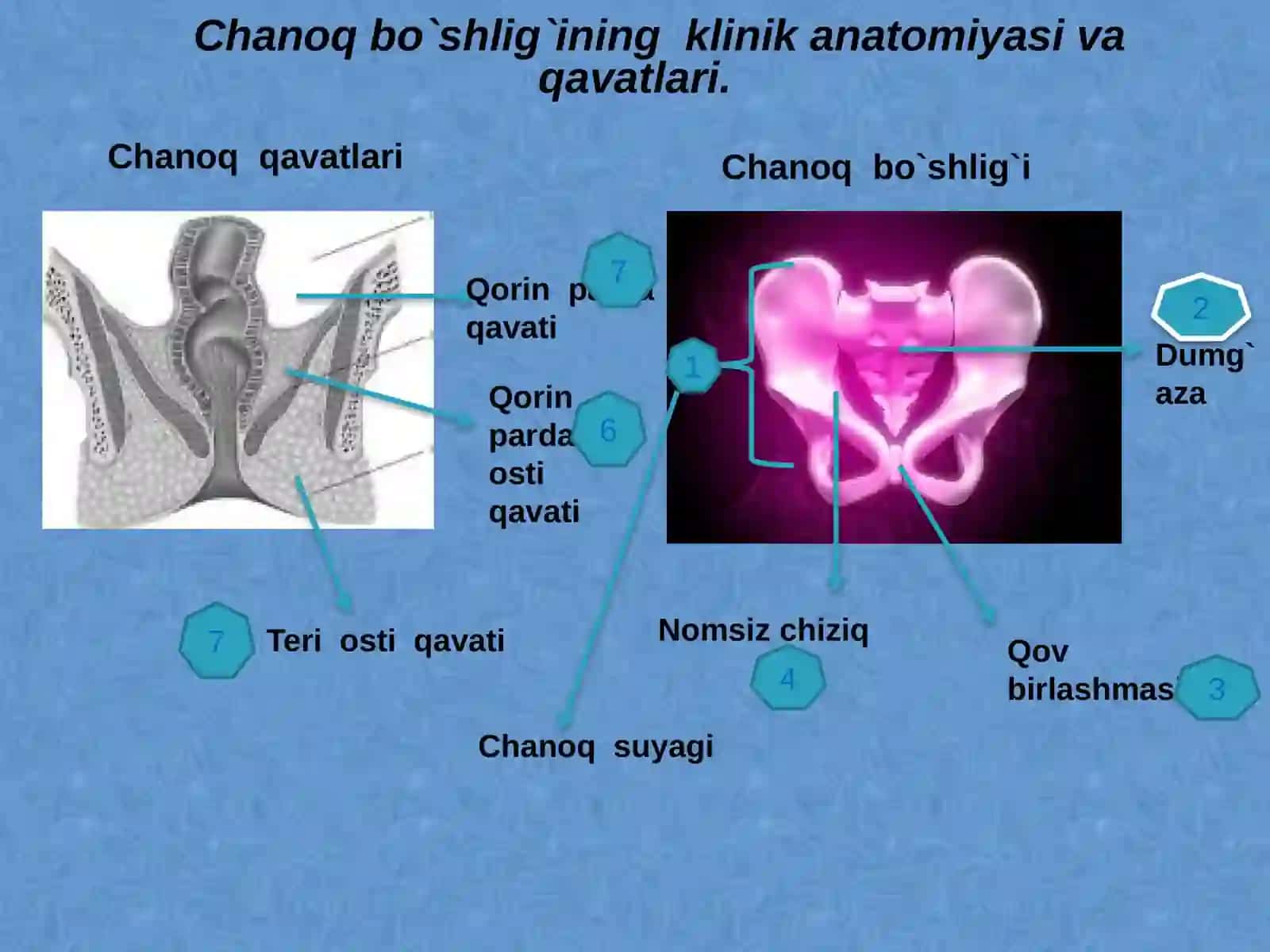 CHANOQ KLETCHATKA BOʻSHLIQLARINI DRENAJLASH USULLARI 4