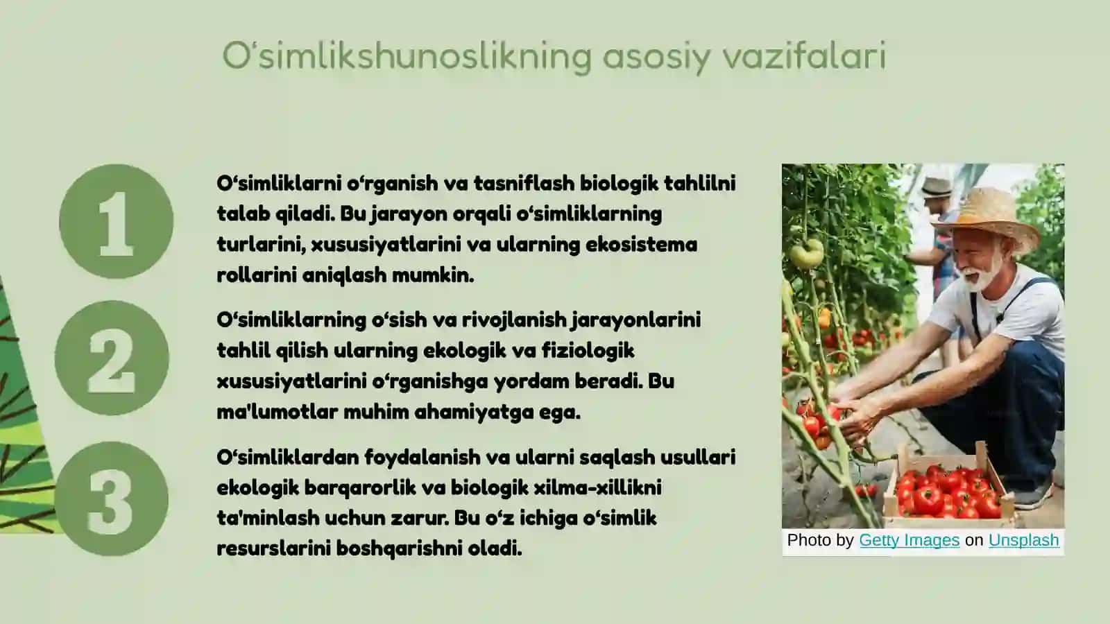 O‘simlikshunoslik 4