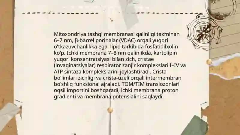 Sitoplazma organoidlari mitoxondriya va plastida sentrosoma va mirkonaychaning tuzilishi 4