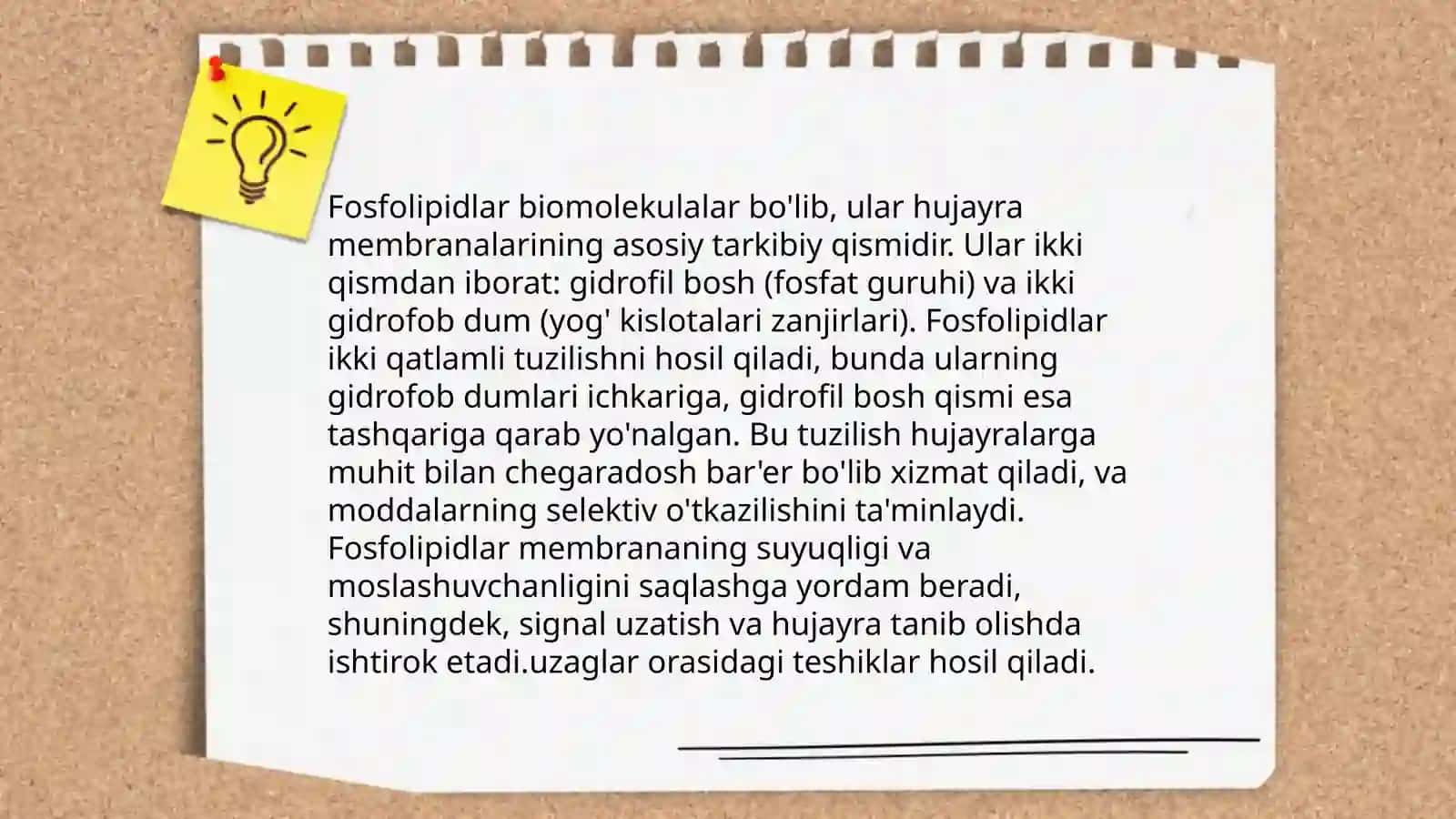 Hujayraning har bir komponetlaring harakteristikasi: membiranalarning tuzilishi tarkibi funksiyasi va ularda kechadigan biokimyoviy jarayonlarning tarifi 4