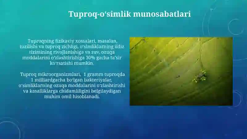 Oʻsimliklar ekologiyasi. Geobotanika va ularning qishloq xo'jaligidagi ahamiyati 4